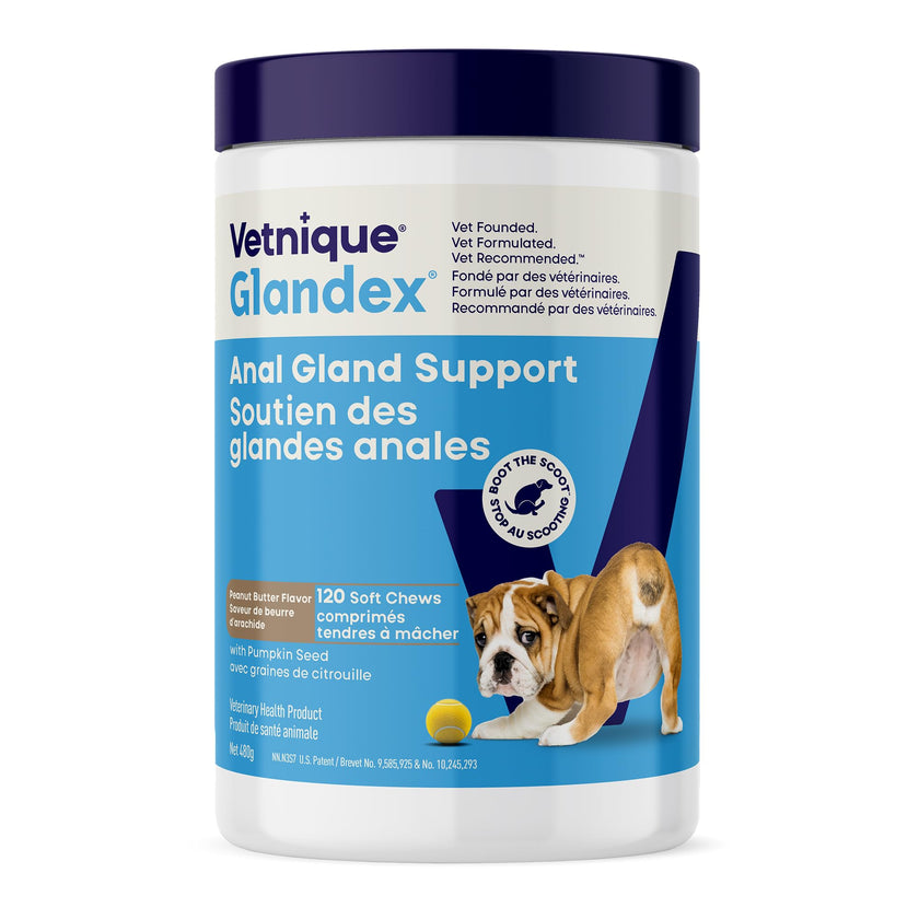 Glandex Anal Gland Soft Chew Treats with Pumpkin for Dogs Chews with Digestive Enzymes, Probiotics Fiber Supplement for Dogs – Vet Recommended - Boot The Scoot (Peanut Butter, 120ct Chews) 🍁 All In One Marketplace Canada