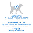 Purina ONE +Plus Dry Cat Food, High Protein with Salmon & Whitefish 3kg 🍁 All In One Marketplace Canada
