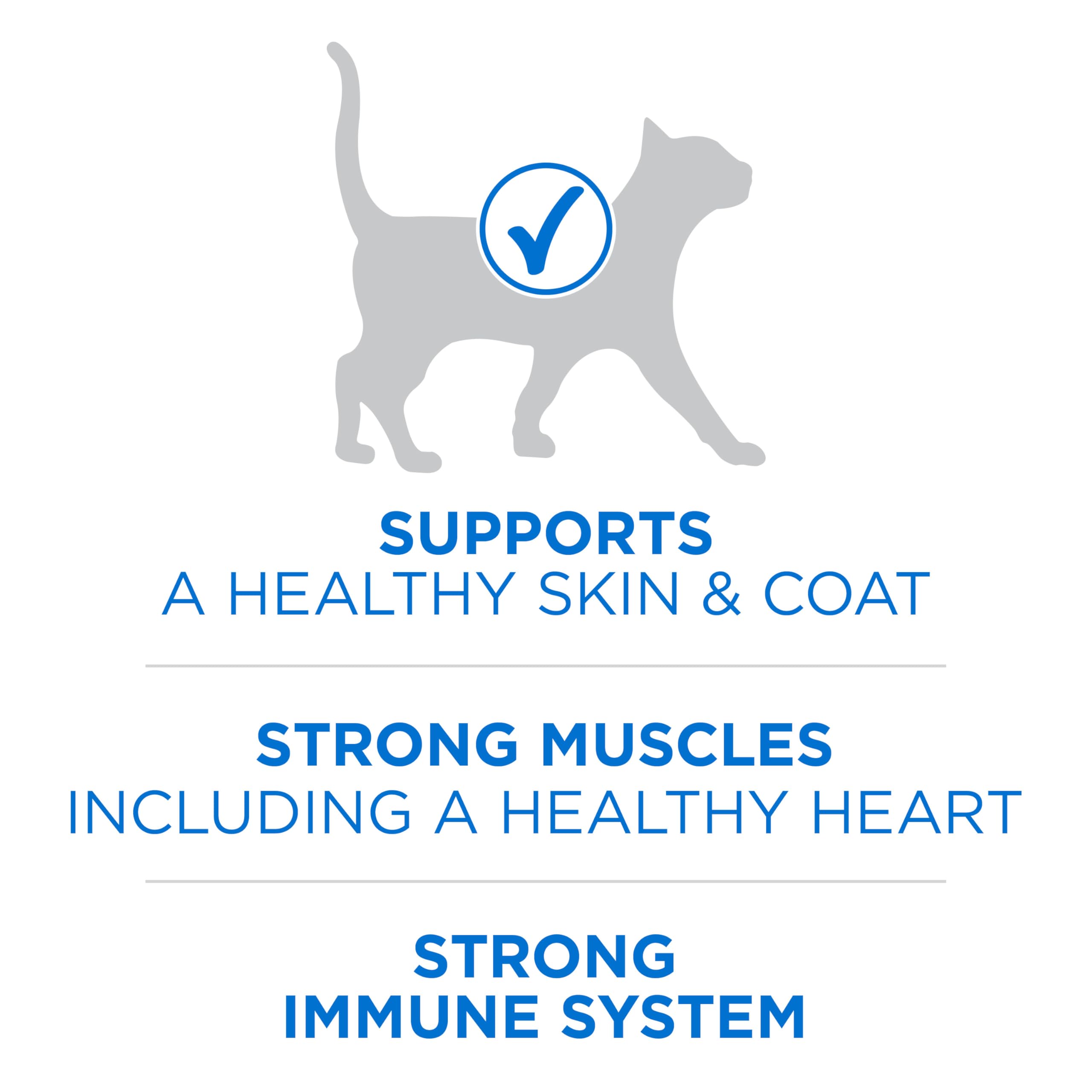 Purina ONE +Plus Dry Cat Food, High Protein with Salmon & Whitefish 3kg 🍁 All In One Marketplace Canada