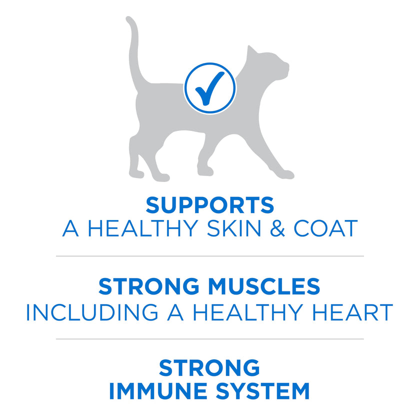 Purina ONE +Plus Dry Cat Food, High Protein with Salmon & Whitefish 3kg 🍁 All In One Marketplace Canada