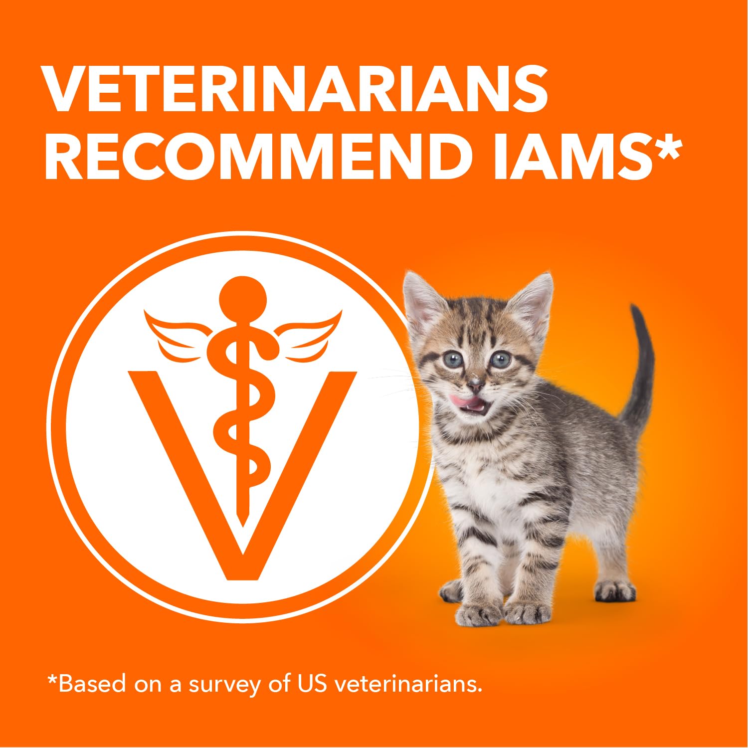IAMS PERFECT PORTIONS Kitten Wet Cat Food, Chicken Flavour, 75g (24 pack) 🍁 All In One Marketplace Canada