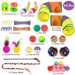 Retro Shaw Cat Toys Set 33 Pack, Cat Play Tunnel for Indoor Cats Kitty, Kitten Toys Include 2 Collapsible Cat Tunnels Tube Tent, Cat Feather Teaser Wand Springs Rainbow Bell Crinkle Ball Mouse Pompom 🍁 All In One Marketplace Canada