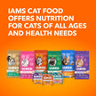 IAMS PERFECT PORTIONS Kitten Wet Cat Food, Chicken Flavour, 75g (24 pack) 🍁 All In One Marketplace Canada