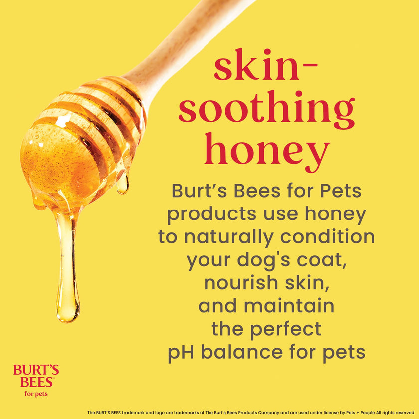 Burt's Bees for Puppies Natural Tearless 2 in 1 Shampoo and Conditioner | Made with Buttermilk and Linseed Oil | Best Tearless Puppy Shampoo for Gentle Skin and Coat | Made in USA, 16 Oz 🍁 All In One Marketplace Canada