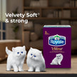 Royale Velour 3 Ply Facial Tissue, 24 Tissue Boxes, 72 Tissues per Box 🍁 All In One Marketplace Canada