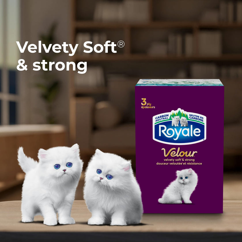 Royale Velour 3 Ply Facial Tissue, 24 Tissue Boxes, 72 Tissues per Box 🍁 All In One Marketplace Canada