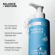 Paula's Choice RESIST Perfectly Balanced Foaming Cleanser, Hyaluronic Acid & Aloe, Anti-Aging Daily Face Wash, for Enlarged Pores & Oily Skin, Fragrance-Free, 190 mL 🍁 All In One Marketplace Canada