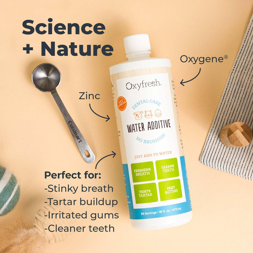 Oxyfresh Premium Pet Dental Care Solution Pet Water Additive: Best Way to Eliminate Bad Dog Breath and Cat Bad Breath - Fights Tartar & Plaque - So Easy, Just Add to Water! Vet Recommended 16 oz. 🍁 All In One Marketplace Canada