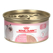 Royal Canin Feline Health Nutrition Kitten Loaf in Sauce Canned Cat Food, 3 oz can (24-Count) 🍁 All In One Marketplace Canada
