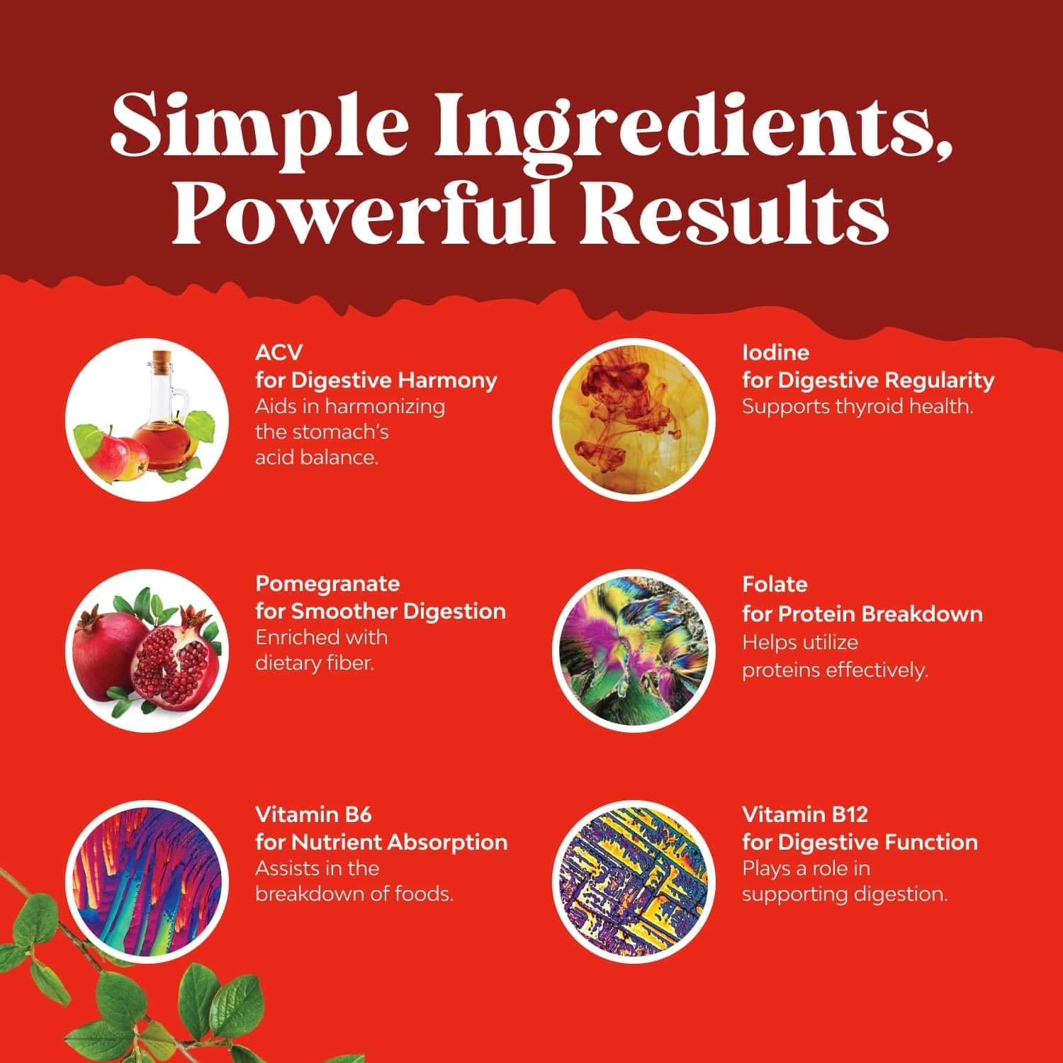 Apple Cider Vinegar Gummies with Mother - Supports Appetite Control - ACV Gummies for Detox & Cleanse - Gut Health & Bloating - Metabolism & Energy Support - ACV with Mother - B12 & B6 Vitamin - 60 Ct 🍁 All In One Marketplace Canada