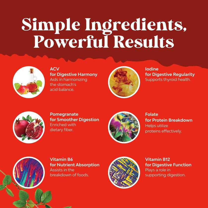 Apple Cider Vinegar Gummies with Mother - Supports Appetite Control - ACV Gummies for Detox & Cleanse - Gut Health & Bloating - Metabolism & Energy Support - ACV with Mother - B12 & B6 Vitamin - 60 Ct 🍁 All In One Marketplace Canada