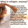 Natural Factors Total Body Multi Collagen Protein, 267g, Unflavoured, 10g of Hydrolyzed Collagen per Scoop, 24 Servings, Combines 5 Types of Collagen, Anti-Aging, Muscle & Joint Support, 28 Days to Reduce Wrinkles, Keto & Paleo Friendly, Proudly Canadian
