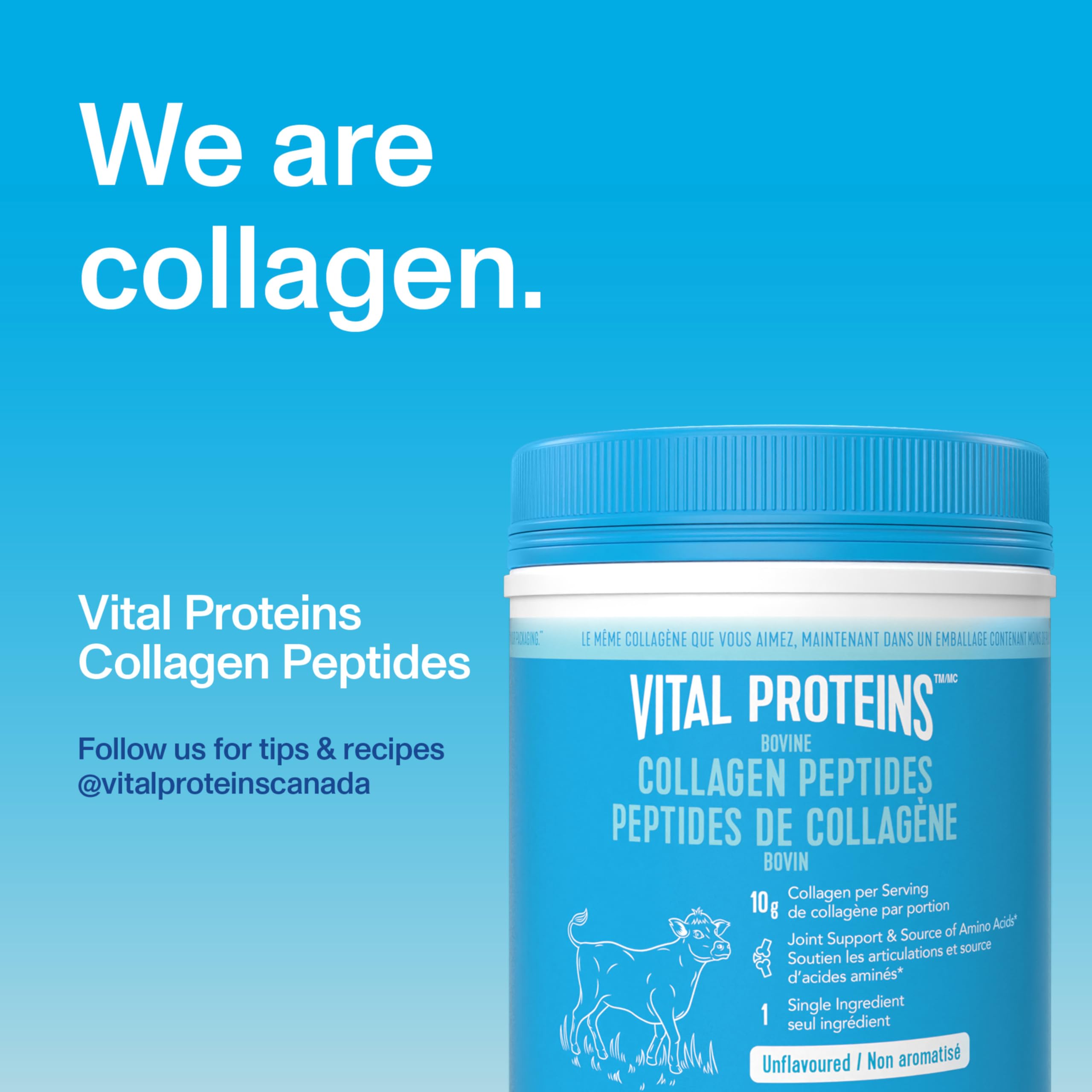 VITAL PROTEINS Bovine Collagen Peptides Powder, Helps Form Collagen And Reduce Joint Pain Associated With Osteoarthritis, Source Of Amino Acids, No Added Sugar, No Artificial Colours Or Flavours, 567 g 🍁 All In One Marketplace Canada