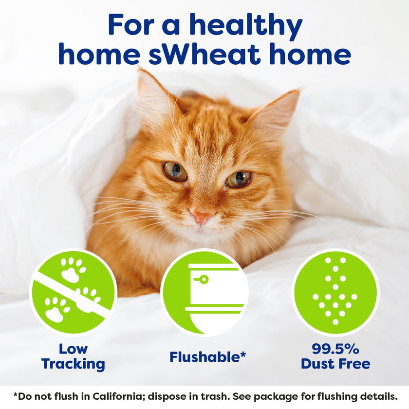 sWheat Scoop Natural Wheat Multi-Cat Litter, Superior Clumping with Odor Neutralizing Enzymes, 25 Pound Bag 🍁 All In One Marketplace Canada