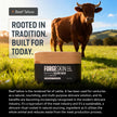 FORGE SKIN® Wrinkle Defense Beef Tallow Balm for Men [TALLOW-BASED] Moisturizer for Face Hydration - Hydrating Anti Aging Skin Cream - Natural Facial Skincare Lotion with Essential Oils (1.7 OZ) 🍁 All In One Marketplace Canada