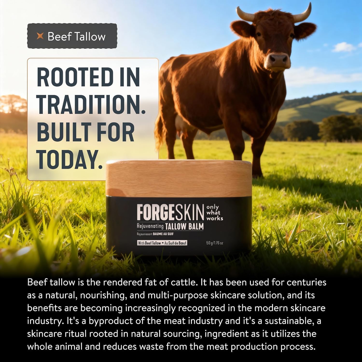 FORGE SKIN® Wrinkle Defense Beef Tallow Balm for Men [TALLOW-BASED] Moisturizer for Face Hydration - Hydrating Anti Aging Skin Cream - Natural Facial Skincare Lotion with Essential Oils (1.7 OZ) 🍁 All In One Marketplace Canada