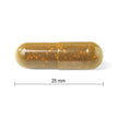 Jamieson Turmeric 100 mg with Tart Cherry 500 mg, Provides Natural Joint Pain Relief, Supports Inflammation, and Helps with Digestion. Non-GMO, 30 Vegetarian Capsules, Proudly Canadian 🍁 All In One Marketplace Canada
