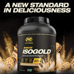 PVL ISOGOLD – Grass Fed - Premium Isolate 100% Whey Protein Shake (2.27 kg (Pack of 1), Chocolate) 🍁 All In One Marketplace Canada