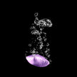 Camco TST Ultra-Concentrated Lavender Scent RV Toilet Treatment Drop-Ins, Formaldehyde Free, Breaks Down Waste And Tissue, Septic Tank Safe, Treats up to 15 - 40 Gallon Holding Tanks (15-Pack) 🍁 All In One Marketplace Canada