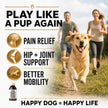CB2 Hemp Oil for Dogs [225,000mg / 240mL / Organic] - Natural Hip and Joint Supplement for Dogs - Calming Anxiety Relief - Extra Strength for Pain, Inflammation, Arthritis, Stress, Aggression 🍁 All In One Marketplace Canada