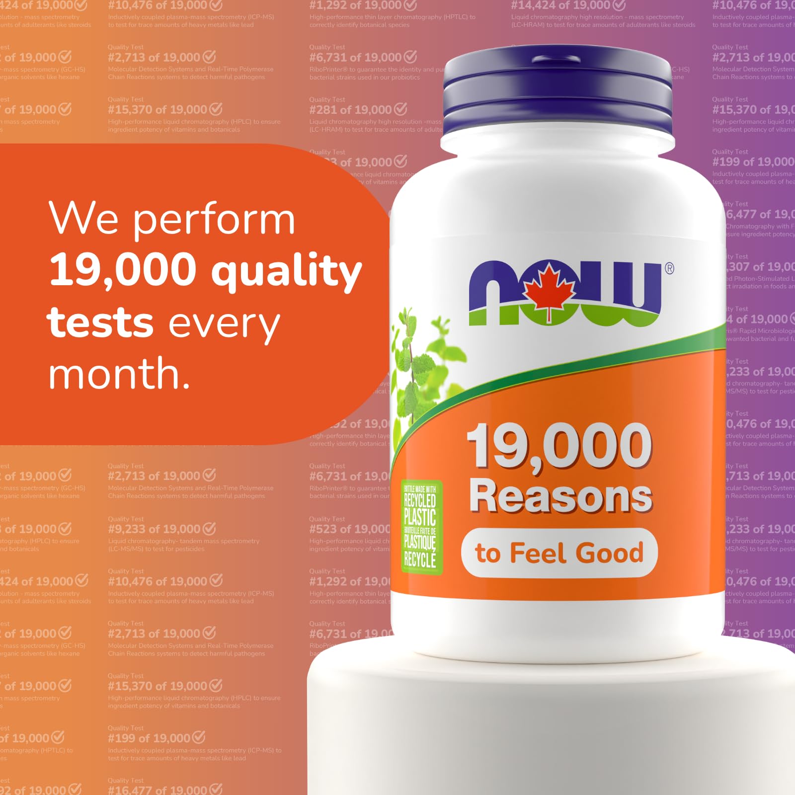 NOW Supplements, L-Theanine 200 mg with Inositol, Stress Management, 60 Veg Capsules 🍁 All In One Marketplace Canada