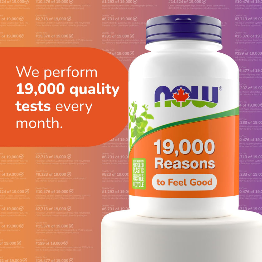 NOW Supplements, L-Theanine 200 mg with Inositol, Stress Management, 60 Veg Capsules 🍁 All In One Marketplace Canada