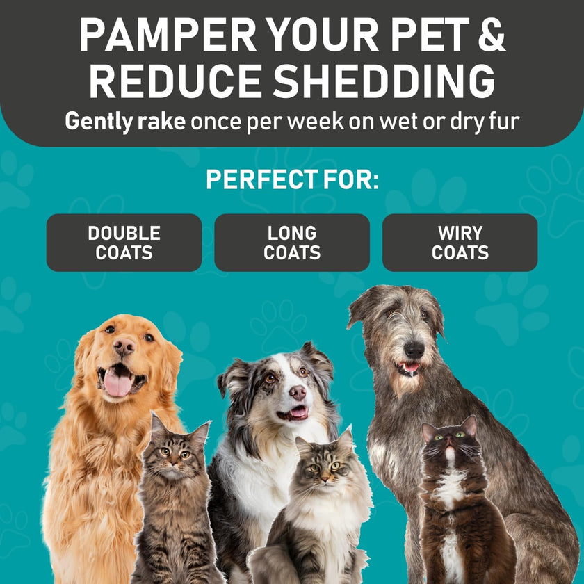 Maxpower Planet Pet Grooming Brush - Double Sided Shedding, Dematting (A1 Blue, Large) 🍁 All In One Marketplace Canada