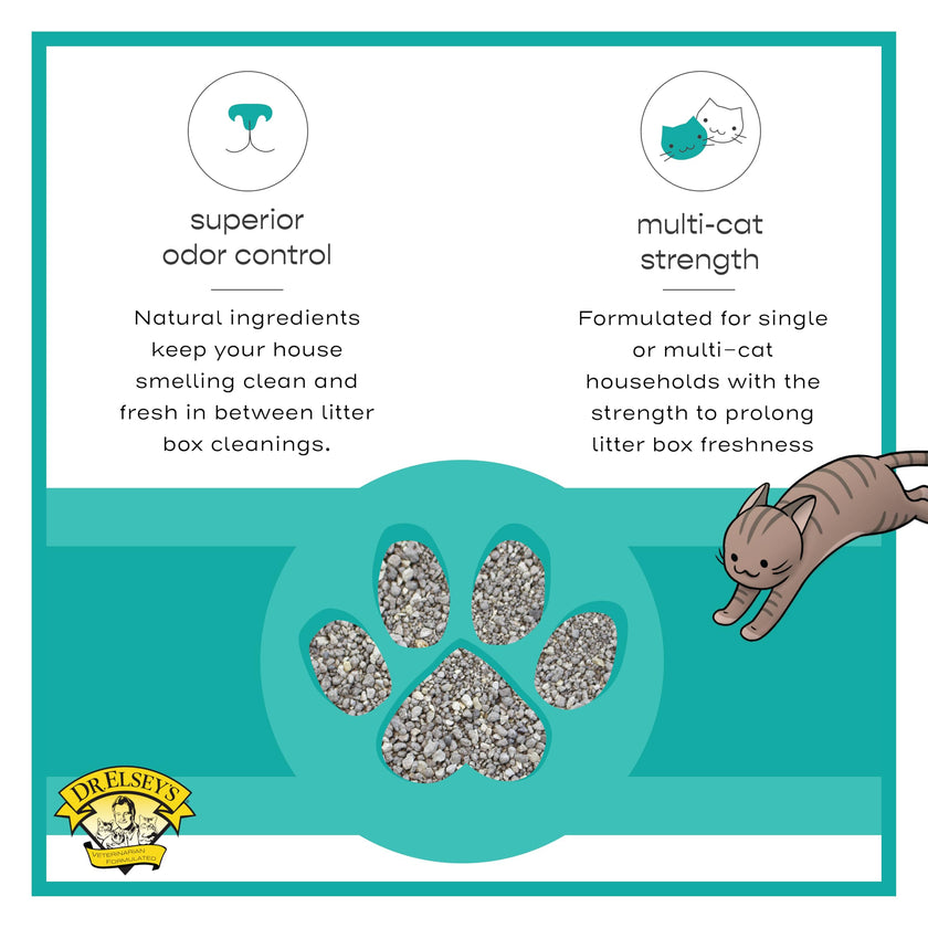 Dr. Elsey's R and R Cat Litter - Low Dust, Low Tracking, Hard Clumping, Superior Scent Control, Unscented and Natural Ingredients - Stress Reducing Kitty Litter, Supports Healthy Breathing 🍁 All In One Marketplace Canada
