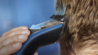 Philips Hair Clipper Series 5000, Washable Hair Clipper with DualCut Technology & 3 accessories, HC5612/15 🍁 All In One Marketplace Canada