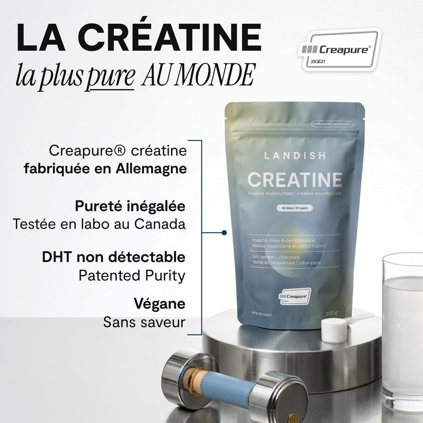 Landish Creatine Monohydrate Powder – Creapure®, German-Made Micronized Creatine – Canadian Brand – Increases Muscle Mass & Improves Strength – For Women & Men – Vegan –Unflavoured – 300 g (60 Servings) 🍁 All In One Marketplace Canada