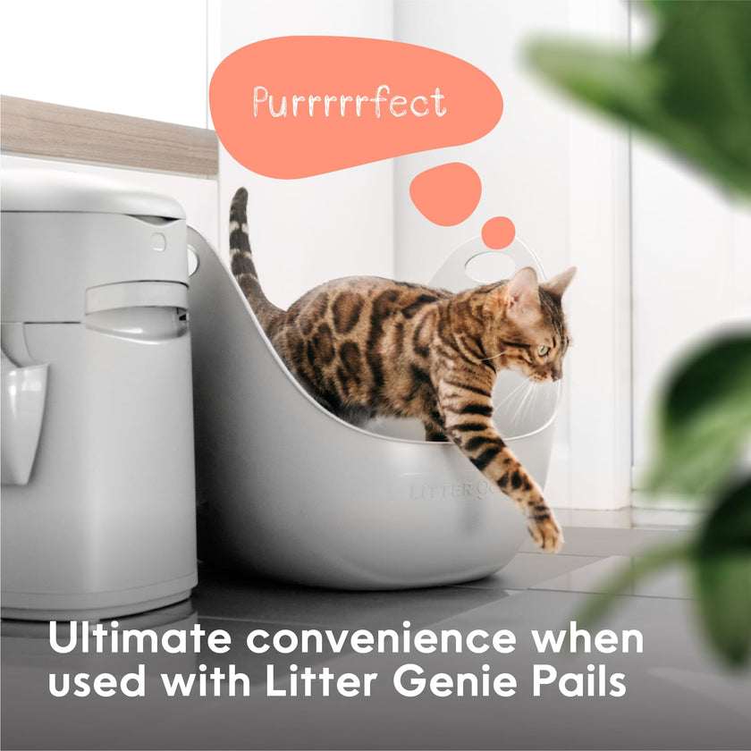 Litter Genie Cat Litter Box in Flexible Plastic with Handles, High Walls 🍁 All In One Marketplace Canada