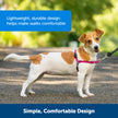 PetSafe Easy Walk Harness, No Pull Harness for Dogs, Adjustable Harness with Included Matching Lead, Black Medium Large 🍁 All In One Marketplace Canada