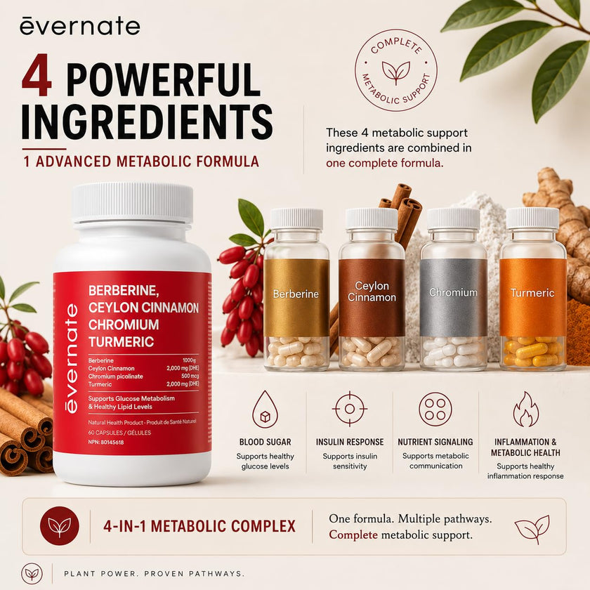 ALL-IN-ONE Berberine 1000 mg with Ceylon Cinnamon 2000 mg, Chromium Picolinate 500 mcg & Turmeric 2000 mg (Per Serving: 2 Capsules) – Blood Sugar, Glucose & Metabolic Support – Cholesterol & Cardiovascular Health – Made in Canada
