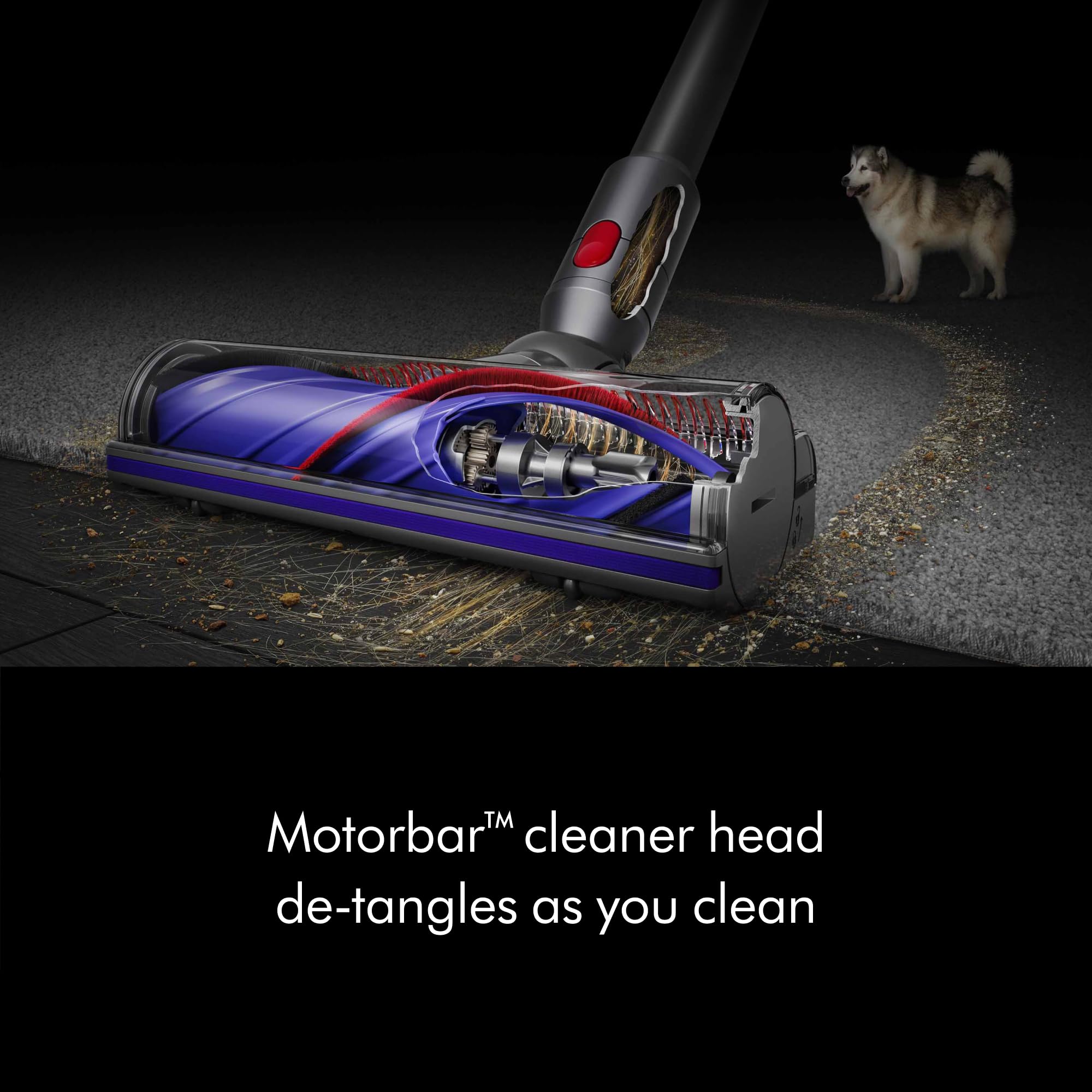 Dyson V8 Plus Cordless Vacuum 🍁 All In One Marketplace Canada