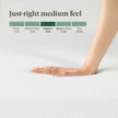 Zinus Full Mattress - 8 Inch Green Tea Cooling Gel Memory Foam Mattress, Pressure Relief, for Cool Sleep, CertiPUR-US Certified Foam, Mattress in a Box, 10-Year Warranty, Full Size 🍁 All In One Marketplace Canada
