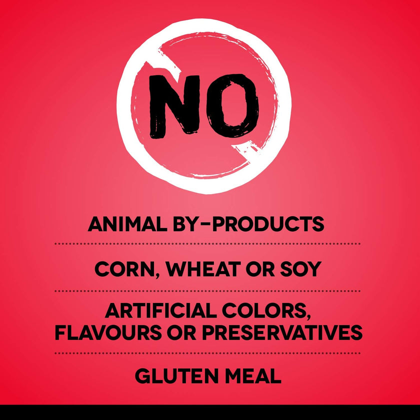 Zoe Grain Free Dog Food, All Breeds, Beef with Peas & Pumpkin, 5 kg 🍁 All In One Marketplace Canada