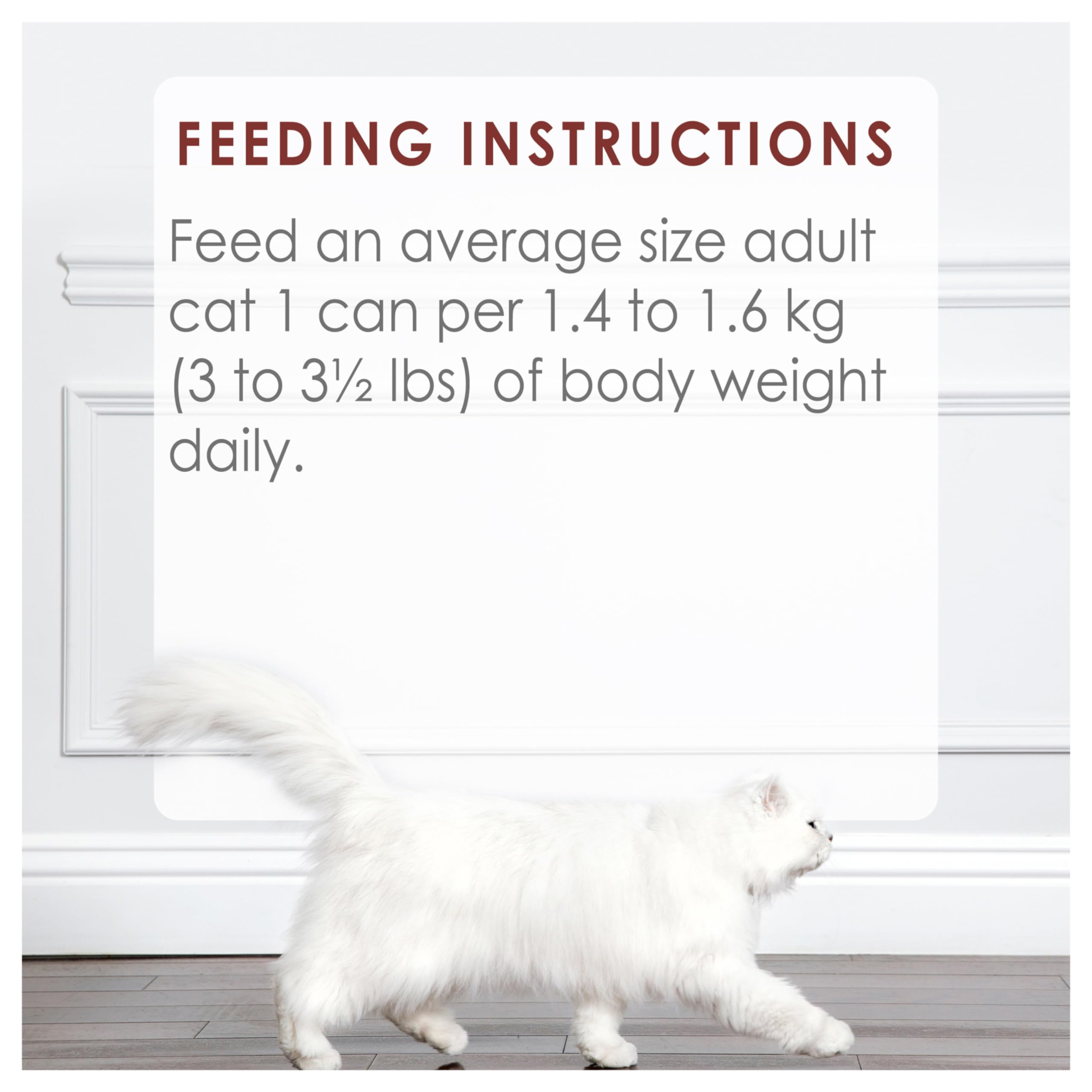 Fancy Feast Chunks Wet Cat Food, Beef Flavour in Gravy - 85 g Can (24 Pack) 🍁 All In One Marketplace Canada