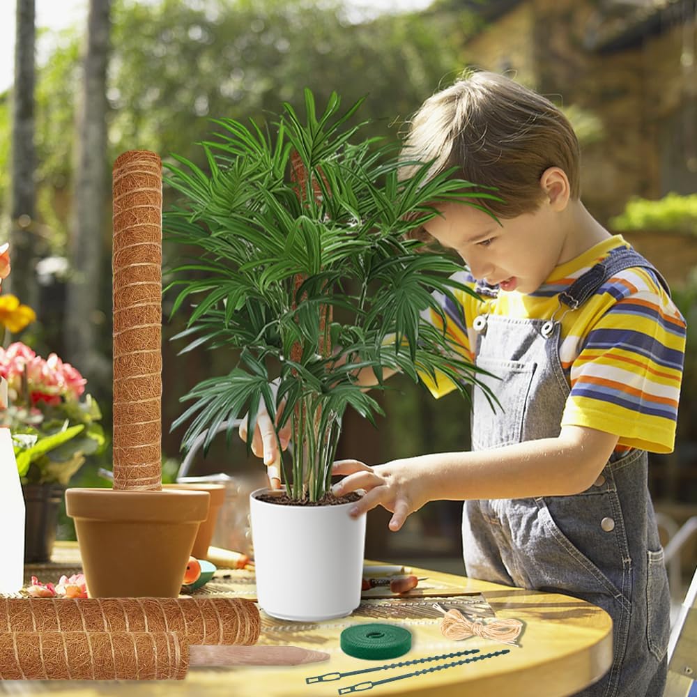 Moss Pole Plant Support Monstera - 5 Pack Coco Coir Moss Stick Plants Climber Support Indoor Monstera Stake for Climbing Plants Live House Potted, Vine, Pothos, Philodendron to Grow Upwards 🍁 All In One Marketplace Canada