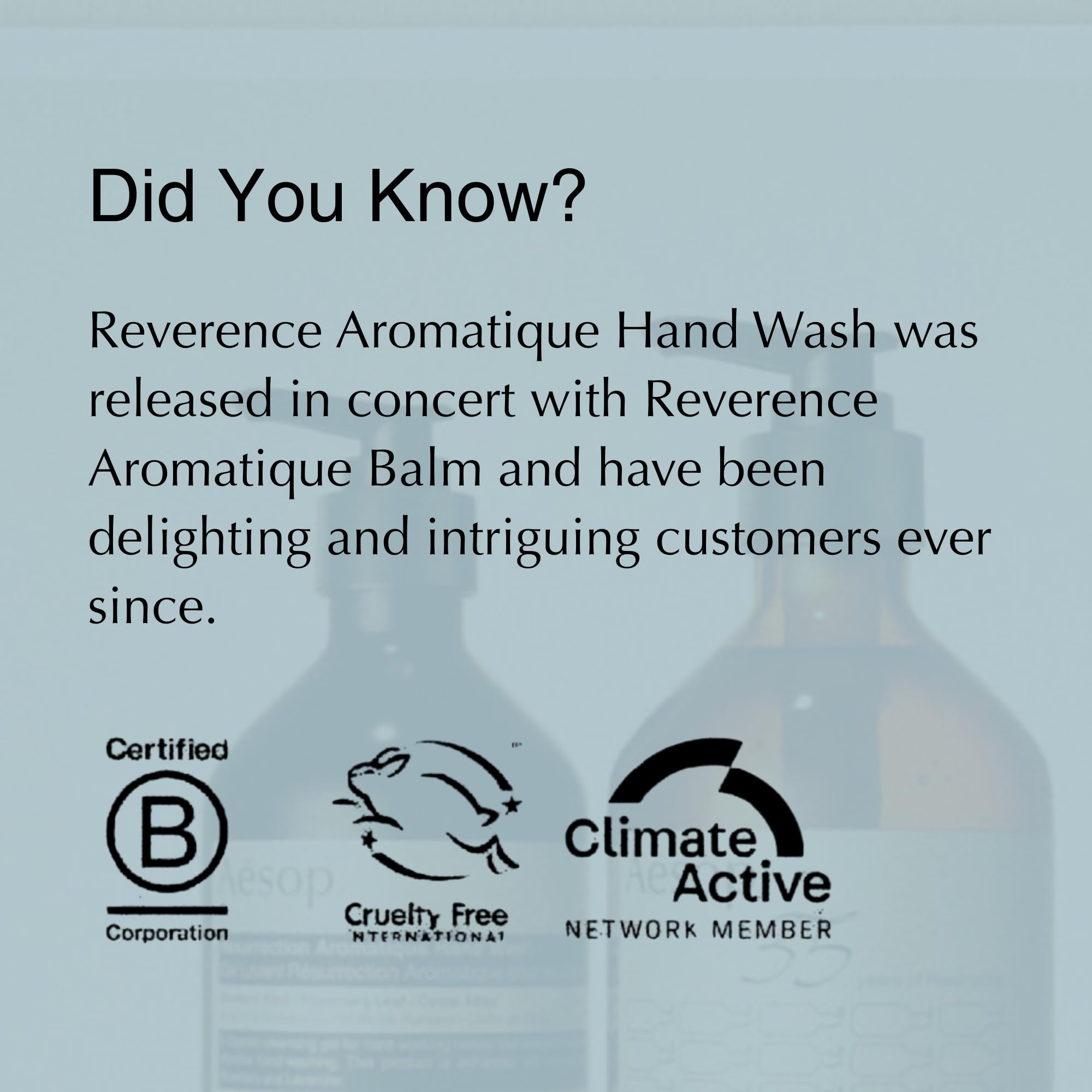 Aesop Reverence Aromatique Hand Wash | Gentle Exfoliating Hand Wash with Finely Milled Pumice | 500mL / 16.9 oz 🍁 All In One Marketplace Canada