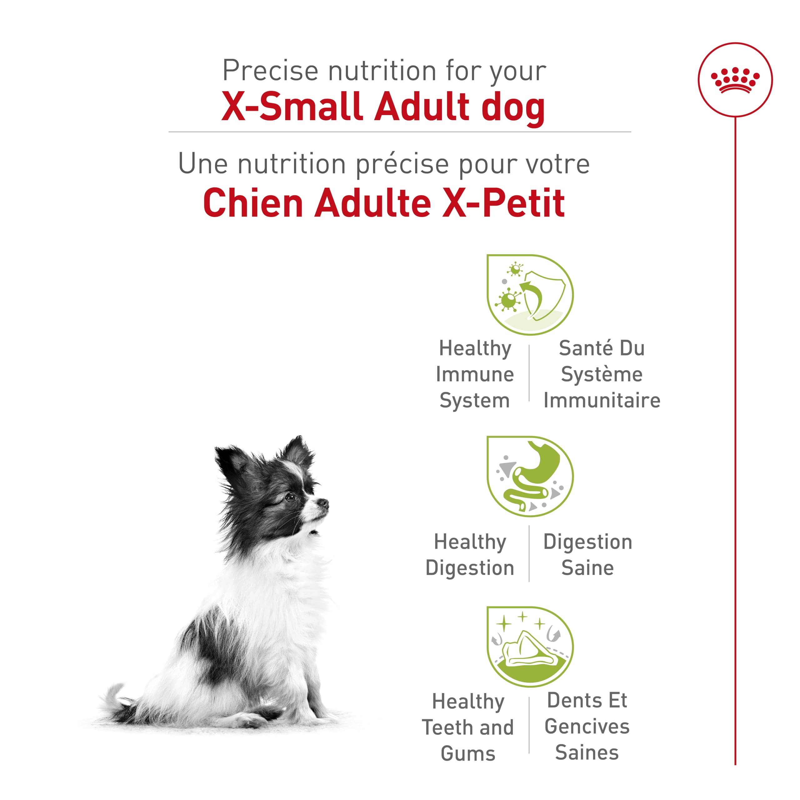 Royal Canin X-Small Adult Dry Dog Food, 2.5 lb bag 🍁 All In One Marketplace Canada