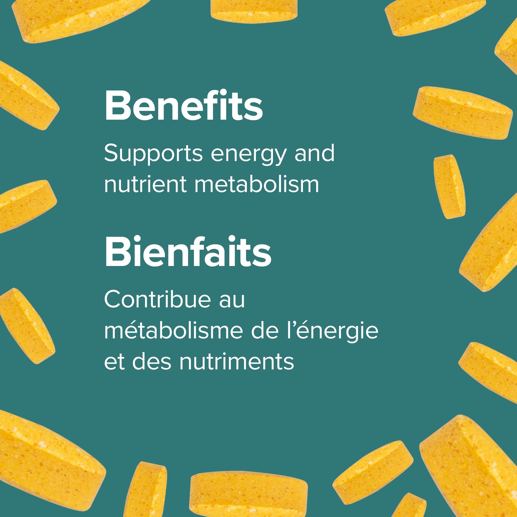Webber Naturals Vitamin B50 Complex, Timed Release, 220 Tablets, Supports Energy Production and Metabolism, Vegan 🍁 All In One Marketplace Canada