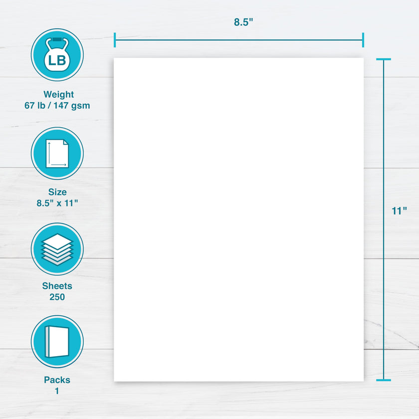 Printworks White Cardstock, Standard, 67 lb. Vellum, 92 Bright, 250 sheets, 8.5 x 11, For Office, Home & School Printing, Craft Projects (00564) 🍁 All In One Marketplace Canada