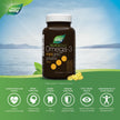 Nature's Way NutraSea Omega 3 + Vitamin D Fish Oil Mini Gels Supplement – Fresh Mint Flavour – Heart, Brain, Bone & Immune Support – 1000mg EPA & DHA + 1000IU D3, 120 Softgels 🍁 All In One Marketplace Canada