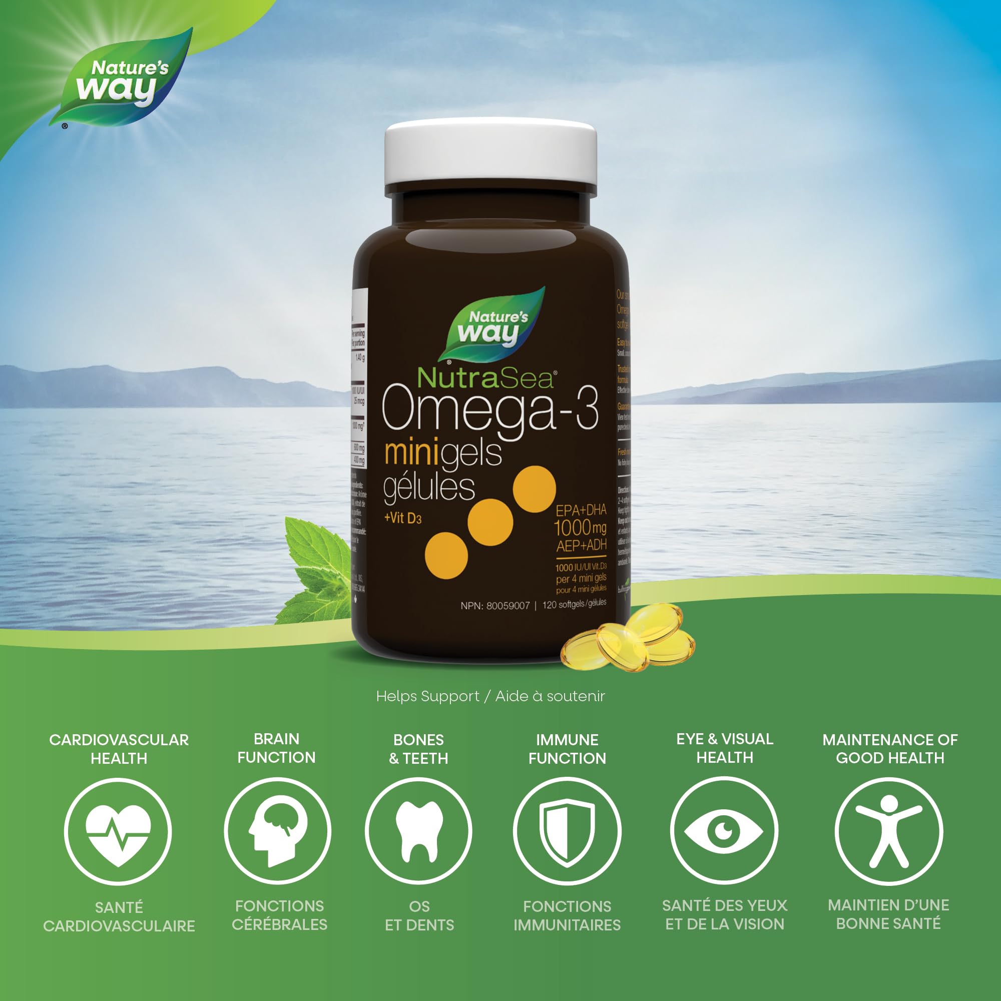 Nature's Way NutraSea Omega 3 + Vitamin D Fish Oil Mini Gels Supplement – Fresh Mint Flavour – Heart, Brain, Bone & Immune Support – 1000mg EPA & DHA + 1000IU D3, 120 Softgels 🍁 All In One Marketplace Canada