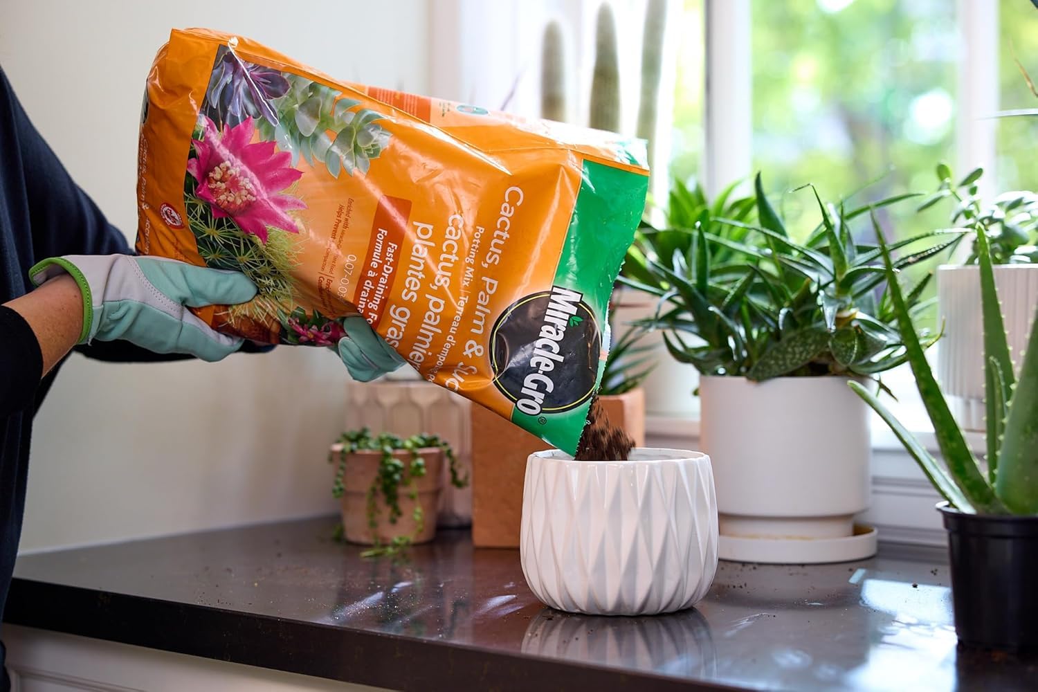 Miracle-Gro Cactus Palm & Succulant Mix 8.8L, 2-Pack | Fast-Draining Soil for Cacti, Palms & Succulents | Feeds 6 Months 🍁 All In One Marketplace Canada