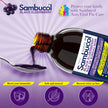 Sambucol Black Elderberry Anti-Viral Flu Care | Quickly Relieves Cold & Flu Symptoms | Immune Support & Antioxidant | Ideal for Families | Syrup, 230 mL, blue 🍁 All In One Marketplace Canada