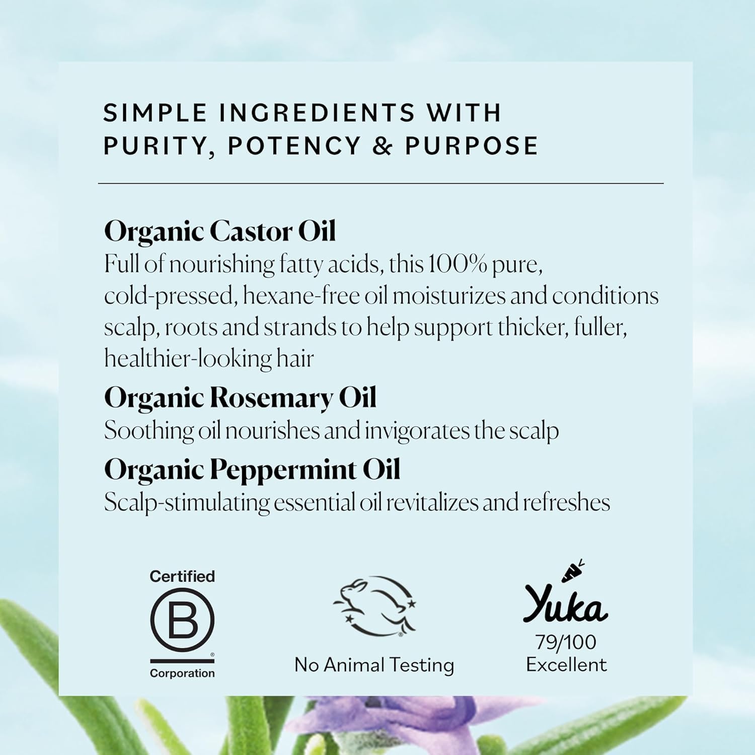Sky Organics USDA Organic Castor Oil and Rosemary Oil, Strengthening Hair Oil Blend, Pure & Potent, Hexane-Free, Invigorates Scalp, Supports Fuller-Looking Hair, 6 fl oz 🍁 All In One Marketplace Canada
