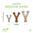 Benebone 3-Pack Wishbone Dog Chew Toy for Aggressive Chewers, Medium 🍁 All In One Marketplace Canada