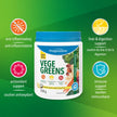 Progressive VegeGreens Pineapple Coconut, Vegan Canadian-Made Superfoods + Daily Greens with 23 Whole Foods, Adaptogens, Anti-Inflammatory, Antioxidants & Digestive Support for Energy and Immunity, 530 g 🍁 All In One Marketplace Canada