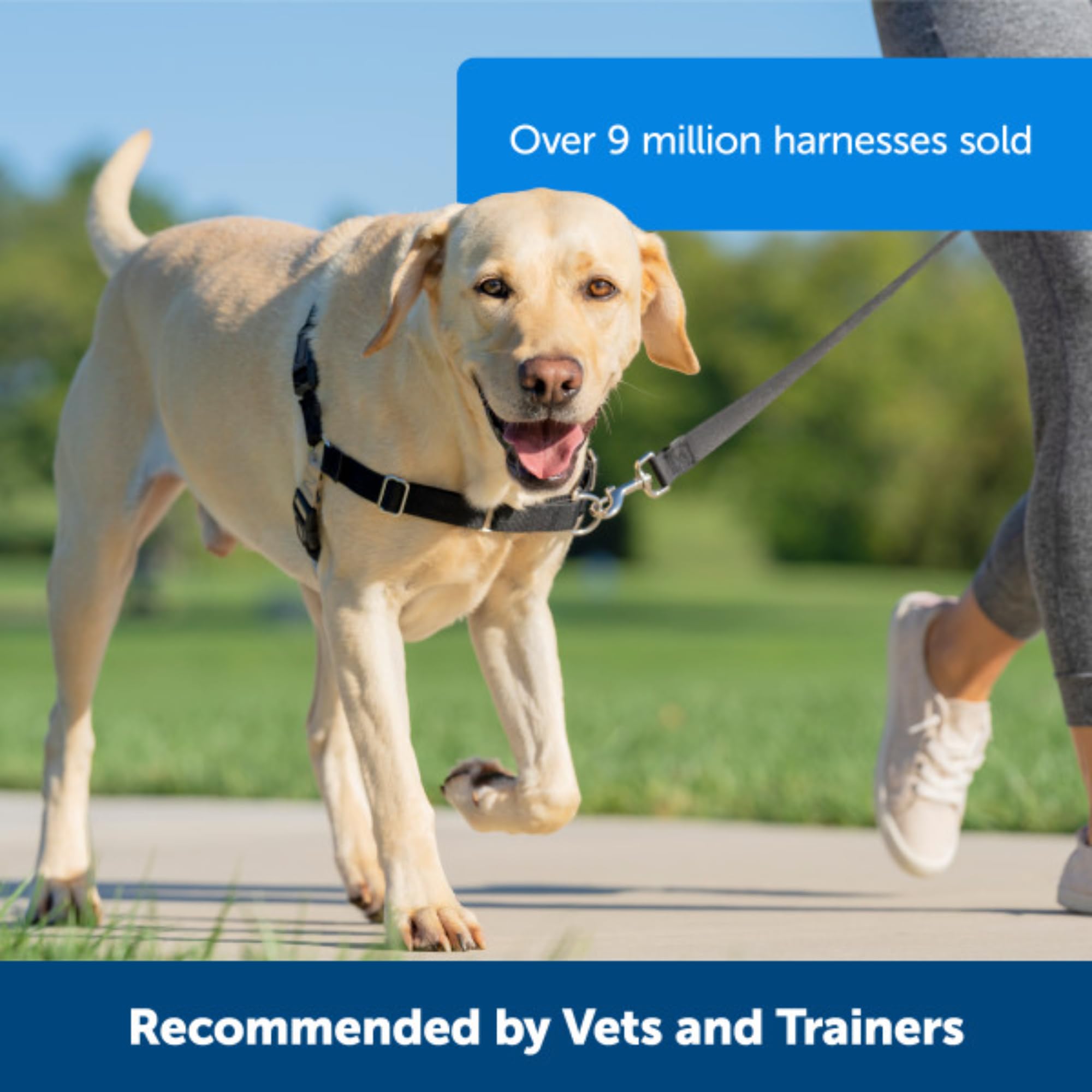 PetSafe Easy Walk Harness, No Pull Harness for Dogs, Adjustable Harness with Included Matching Lead, Black Medium Large 🍁 All In One Marketplace Canada